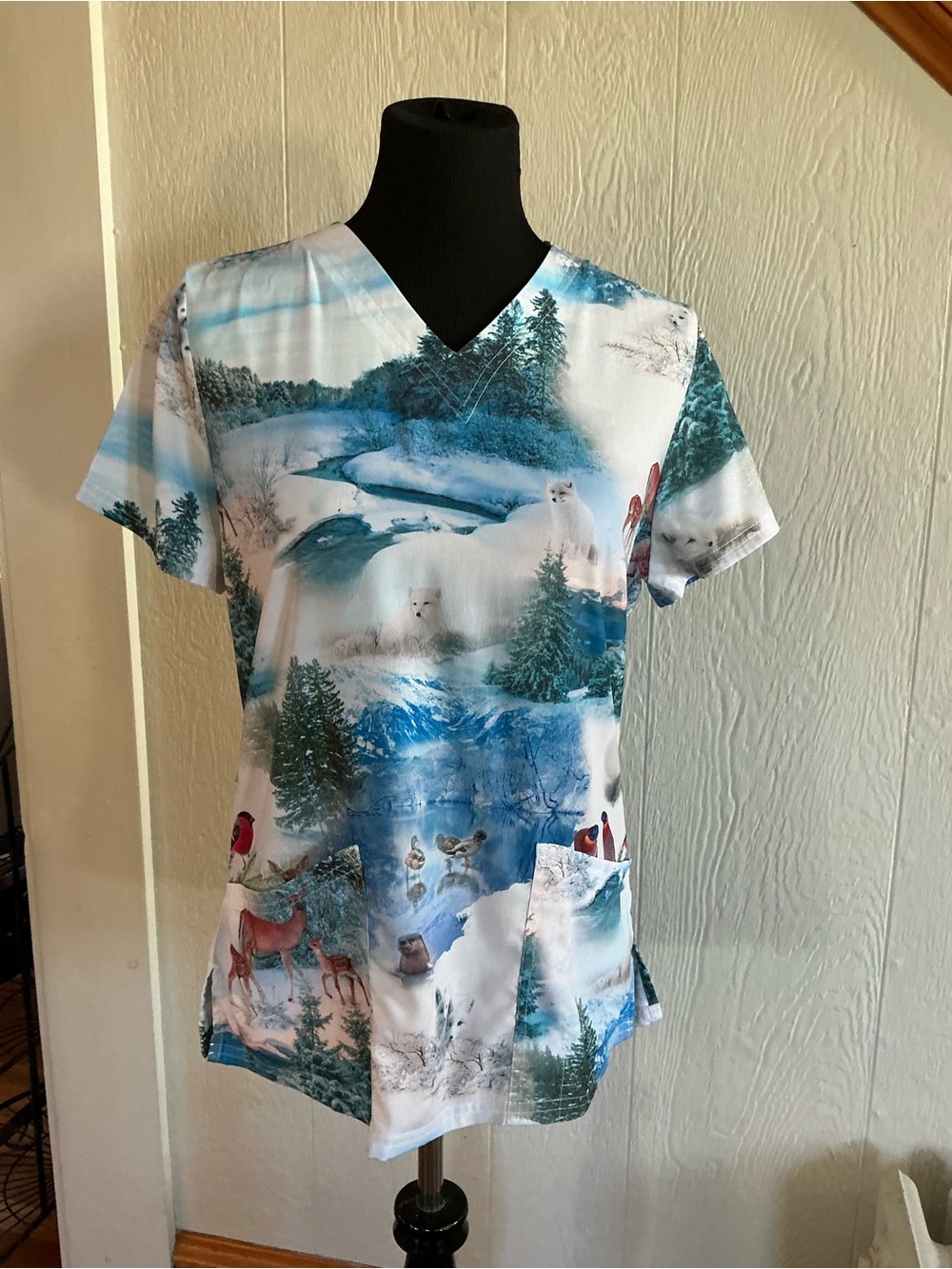 Women’s V-Neck Scenic Print Top in Blue and White